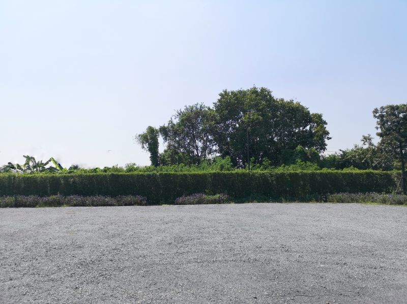 Landscape Grading