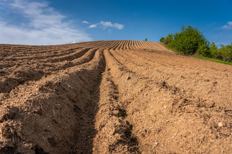 Cost of Landscape Grading — Cost of Landscape Grading