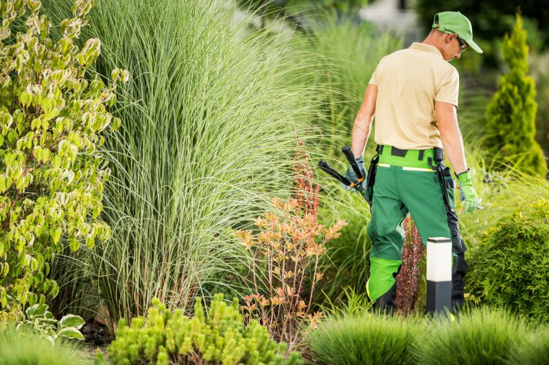 Professional Landscape Contractors