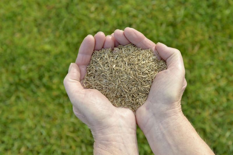 Customer Satisfaction Guarantee